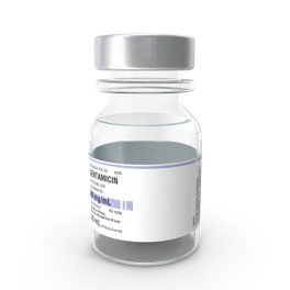 Gentamicin Vial
